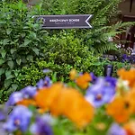 Homestay Pod Jemiola