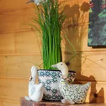 Pod Jemiola Homestay