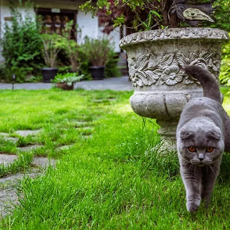 Kwatera prywatna Pod Jemiołą Wisła