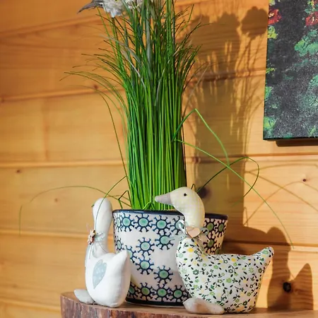 Pod Jemiola Homestay