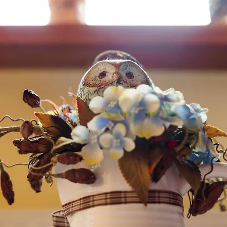 Pod Jemiołą Kwatera prywatna