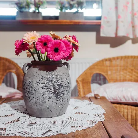 Pod Jemiołą Kwatera prywatna *