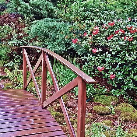 Homestay Pod Jemiola Wisla