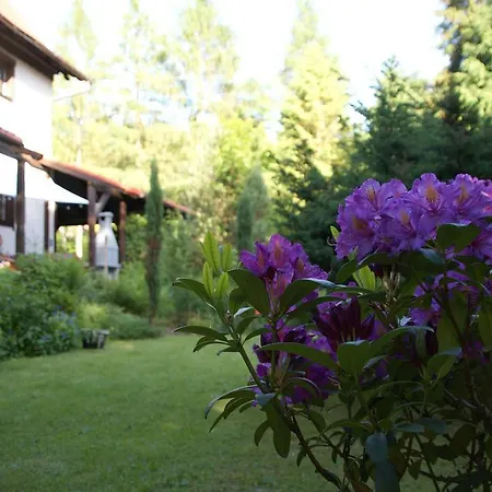 Pod Jemiołą Kwatera prywatna Wisła