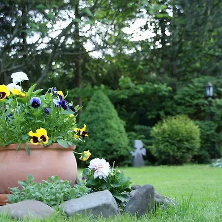 Pod Jemiola Homestay