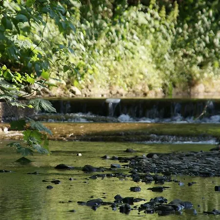 Pod Jemiołą * Wisła