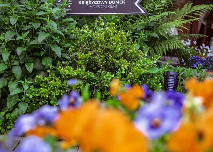 בית אירוח Pod Jemiola