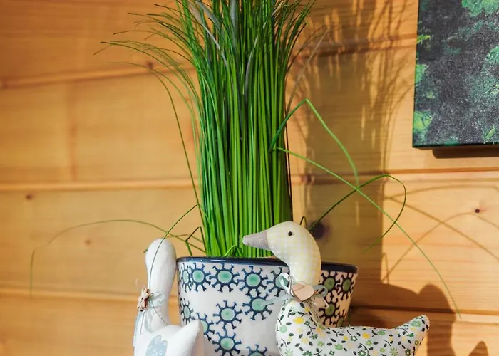 Pod Jemiola בית אירוח