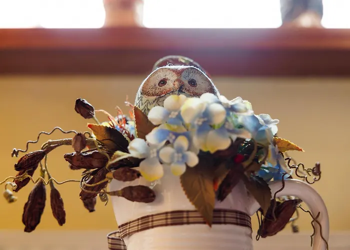 Pod Jemiola בית אירוח