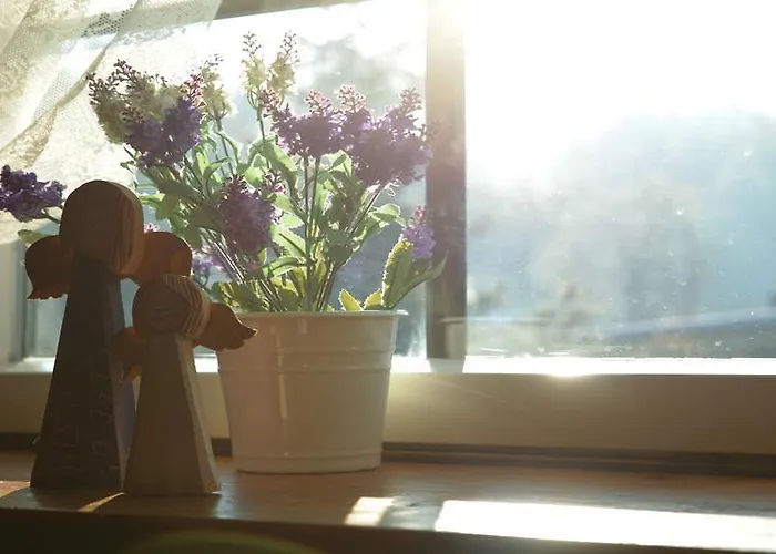 Pod Jemiola בית אירוח