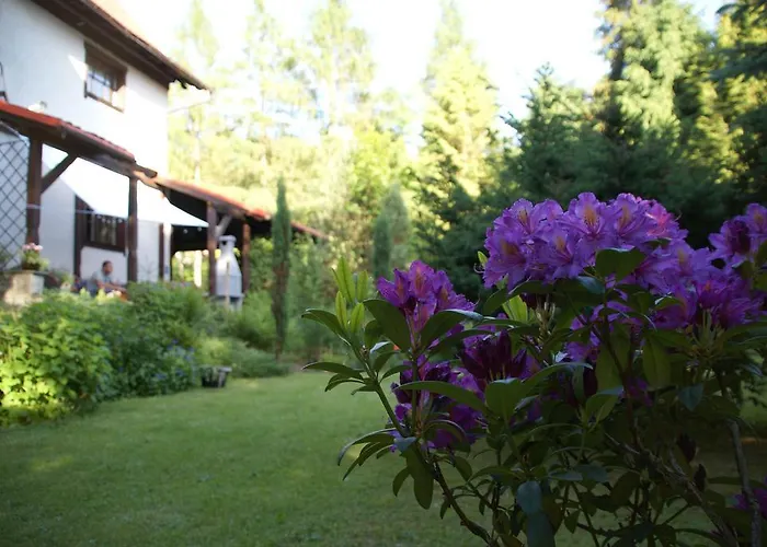 Pod Jemiola בית אירוח ויסלאו