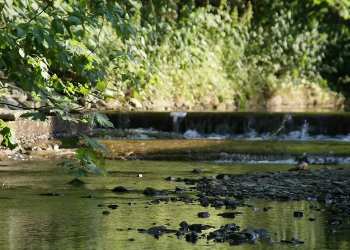 Pod Jemiołą * Wisła